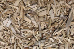 biomass boilers Linhope